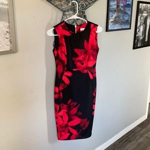 Calvin Klein Stretch career dress